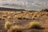 96311 Christmas Valley Highway - Photo 8