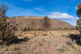 12233 Steelhead Falls Drive - Photo 11