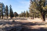 12233 Steelhead Falls Drive - Photo 15