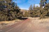 12233 Steelhead Falls Drive - Photo 17