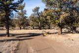 12233 Steelhead Falls Drive - Photo 7