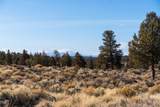 12233 Steelhead Falls Drive - Photo 9