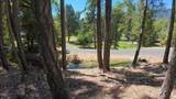 11020 Applegate Road - Photo 31