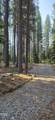 22719 Horseshoe Way - Photo 52