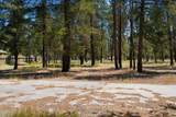 52525 River Pine Road - Photo 12