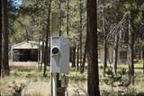 52525 River Pine Road - Photo 3