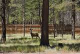 52525 River Pine Road - Photo 4