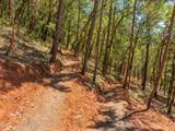 0 Jumpoff Joe Creek Road - Photo 8