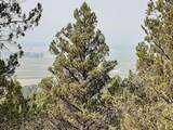 30442 Rim Drive - Photo 7