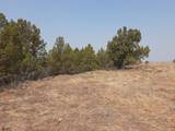 30442 Rim Drive - Photo 8