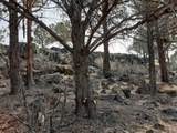 30442 Rim Drive - Photo 9