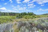 47490 Ferguson Mountain Road - Photo 75