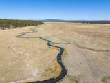 300 Road 49 Silverlake Highway - Photo 14