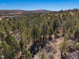 14551 Winchester Loop - Photo 4