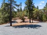 235 Needlewood Drive - Photo 41