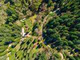 1293 Starveout Creek Road - Photo 48
