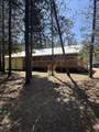 11617 Chinquapin Drive - Photo 1