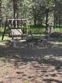 11617 Chinquapin Drive - Photo 2