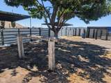 109 Miller Island Road - Photo 36