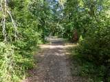 302 River Grove Drive - Photo 4