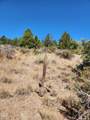  Drews Rd - Photo 7