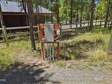 17043 Elsinore Road - Photo 11