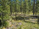 17043 Elsinore Road - Photo 14