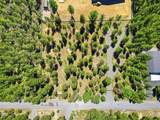 17043 Elsinore Road - Photo 15