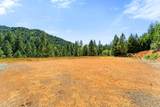 2810 Coyote Creek Road - Photo 6
