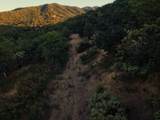 4359 Pioneer Road - Photo 6