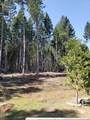 3160 Rockydale Road - Photo 71