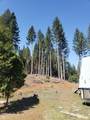 3160 Rockydale Road - Photo 72