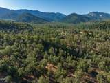 2659 Foots Creek L Fork Road - Photo 20
