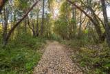 2659 Foots Creek L Fork Road - Photo 22