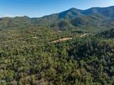 2659 Foots Creek L Fork Road - Photo 25