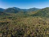 2659 Foots Creek L Fork Road - Photo 36