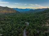 2659 Foots Creek L Fork Road - Photo 42