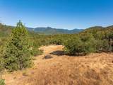 2659 Foots Creek L Fork Road - Photo 13