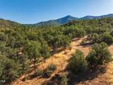 2659 Foots Creek L Fork Road - Photo 14