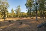 2659 Foots Creek L Fork Road - Photo 15