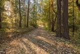 2659 Foots Creek L Fork Road - Photo 21