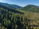 2659 Foots Creek L Fork Road - Photo 38