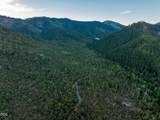 2659 Foots Creek L Fork Road - Photo 40
