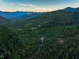 2659 Foots Creek L Fork Road - Photo 41