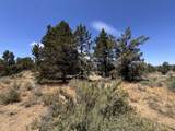 0 Pheasant Lane - Photo 11