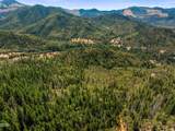 4199 Foots Creek Road - Photo 11