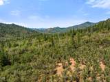 4199 Foots Creek Road - Photo 14
