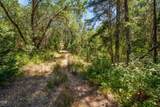 4199 Foots Creek Road - Photo 19
