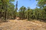 4199 Foots Creek Road - Photo 4