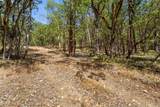 4199 Foots Creek Road - Photo 5